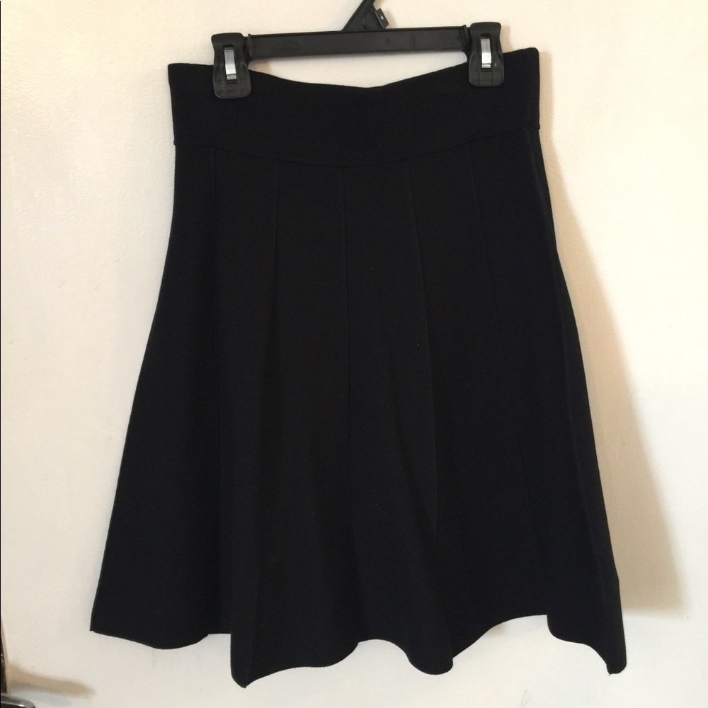 Ann Taylor skirt